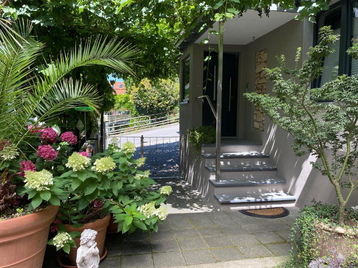 Apartament Pantone Ultra Dossenheim Zewnętrze zdjęcie